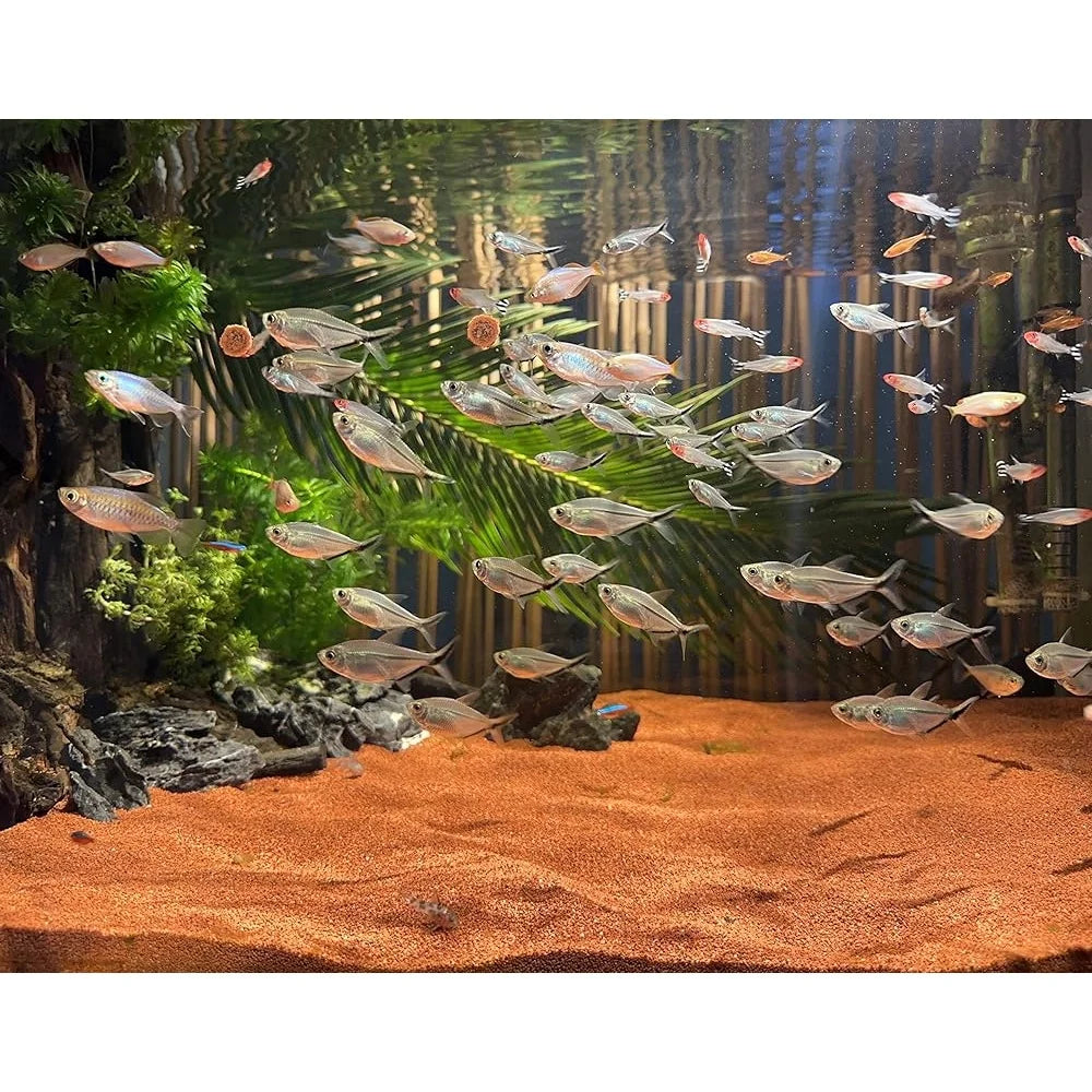 11lb Natural Red Sand Aquarium Substrate Coarse Lava Rock Soil Fish Tank Plant Gravel Landscaping